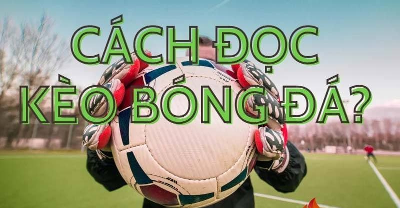 Cách đọc kèo bóng đá cơ bản dành cho người mới tại Sunwin 2 cách đọc kèo bóng đá